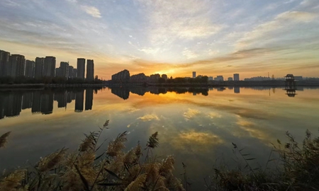 這里是東營