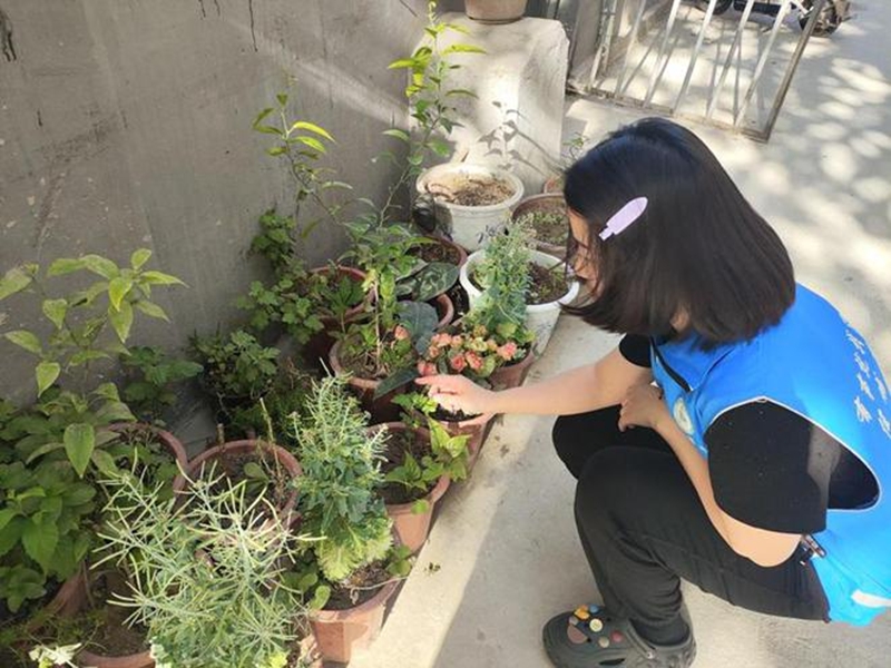 未命名_副本.jpg